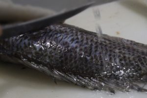 Da natureza até a mesa, uma especialidade do Quiosque da Célia