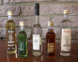 Vinícola Borgo mantém as tradições da cachaça