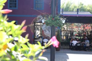 Domingo é dia de curtir a Capo & Gin com música ao vivo