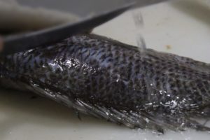 Quiosque da Célia tem filé de tilápia e lanches para encomendas