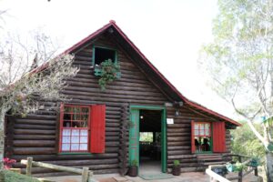 8 dicas do que fazer em Nova Veneza com os pontos turísticos fechados