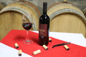 Conheça os vinhos tintos da Vinícola Casa Savoia