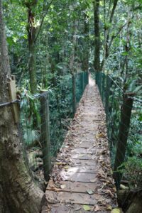 Natureza e ar charmoso são os destaque da Trilha Encantada no Aguaí Santuário Ecológico